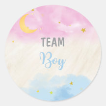 Celestial Moon Stars Gender Reveal Party Vote
