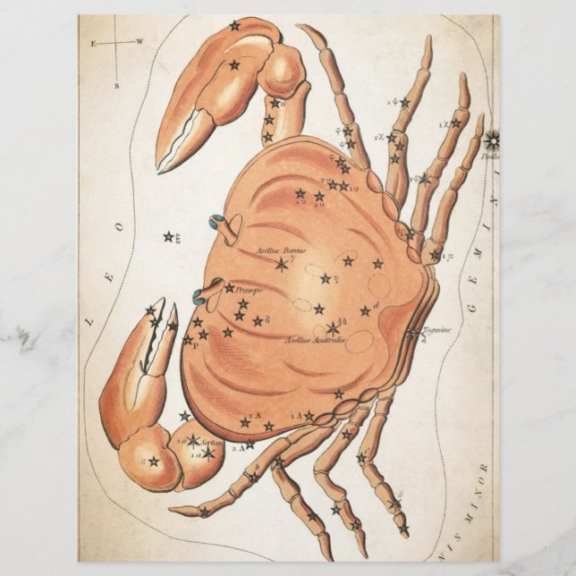 Celestial mystical galaxy crab scrapbook paper (Front)