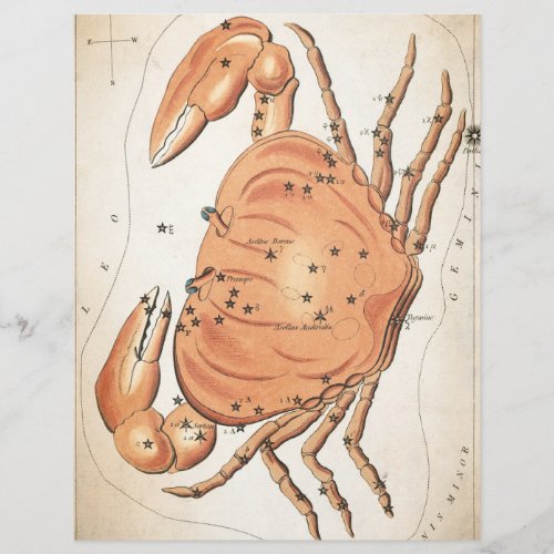 Celestial mystical galaxy crab scrapbook paper