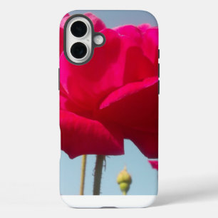 Celestial Rose Beautiful Red Bloom Against Blue iPhone 16 Plus Case