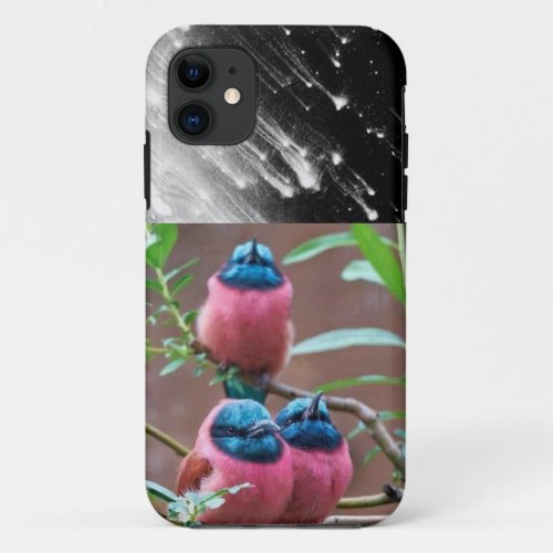 Celestial Soar Meteorite and Birds iPhone Cover iPhone 11 Case