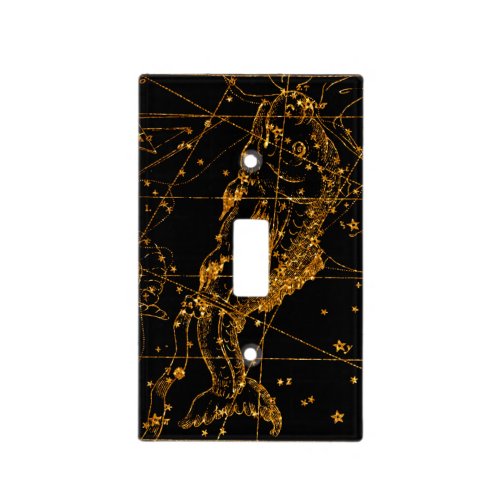 Celestial Star Map Astrological Gold Pisces Fish Light Switch Cover