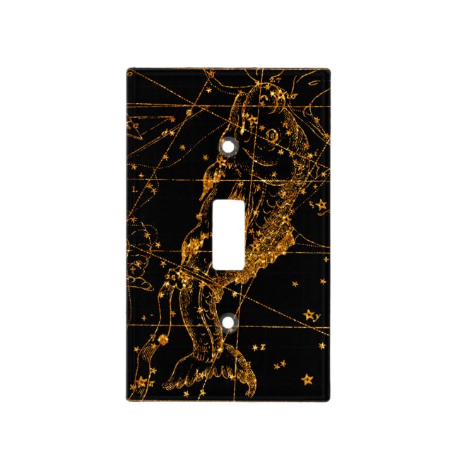 Celestial Star Map Astrological Gold Pisces Fish Light Switch Cover (Front)