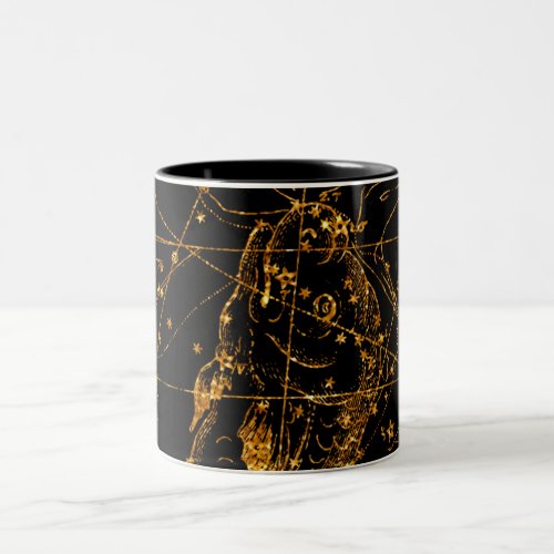 Celestial Star Map Astrological Gold Pisces Fish Two_Tone Coffee Mug