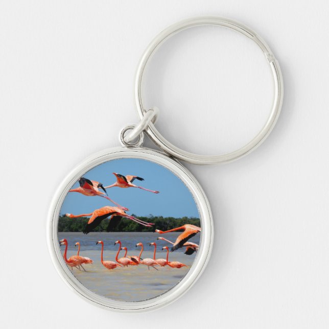 Celestun Biosphere Reserve Keychain (Front)