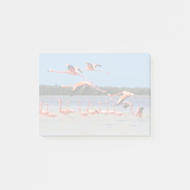 Celestun Biosphere Reserve Post-it Notes (Front)