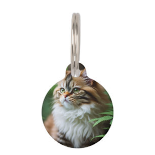 Celia The Cubby Persian Cat, Pet Tag