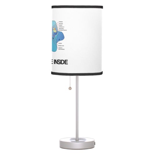 Cell Culture Inside Eukaryotic Cell Table Lamp (Right)