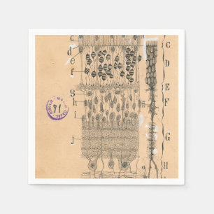 Cell Drawing Eye Retina Santiago Ramon Y Cajal Napkins