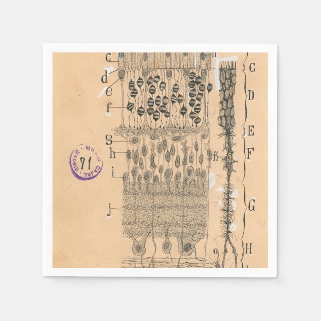 Cell Drawing Eye Retina Santiago Ramon Y Cajal Napkins (Front)