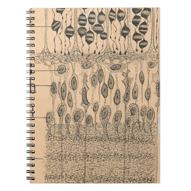 Cell Drawing Eye Retina Santiago Ramon Y Cajal Notebook (Front)