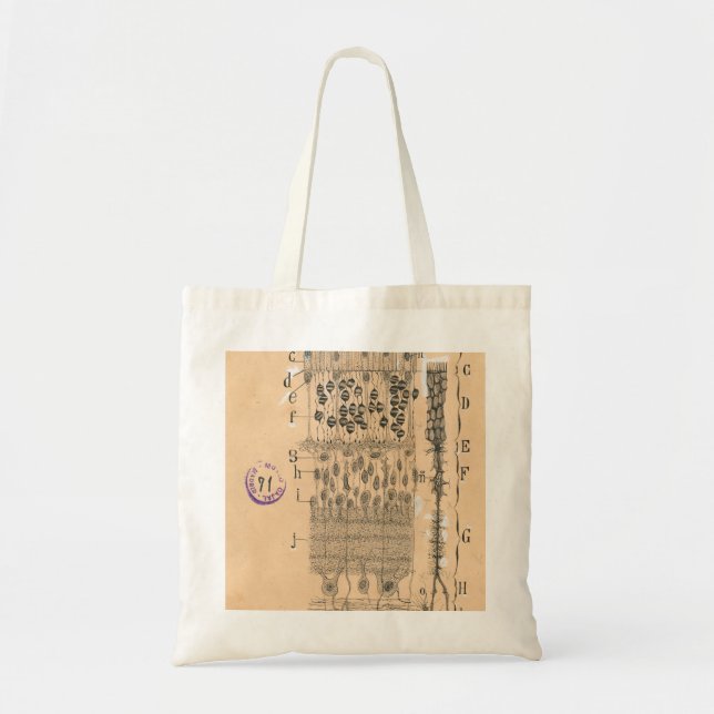Cell Drawing Eye Retina Santiago Ramon Y Cajal Tote Bag (Front)