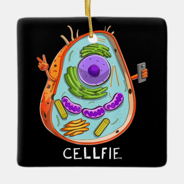 cell fie biology  cellular biology science teacher ceramic ornament (Front)