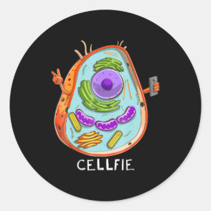 cell fie biology cellular biology science teacher classic round sticker