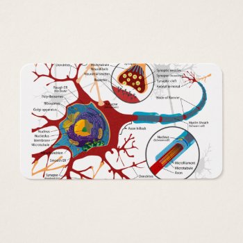 Cell Neurons Healthy by Wonderful12345 at Zazzle