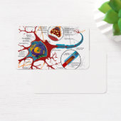 Cell Neurons Healthy (Desk)