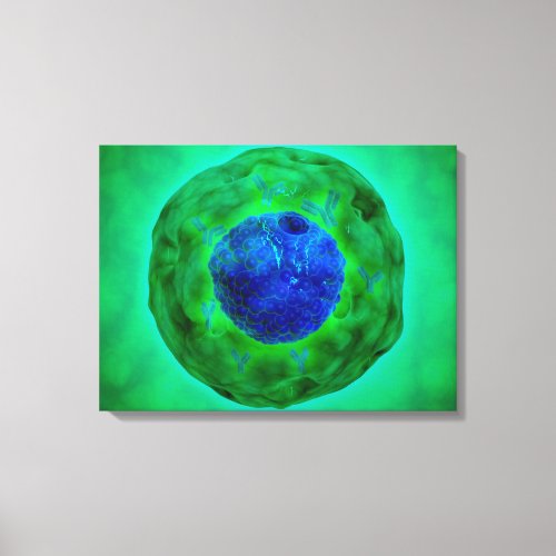 Cell Nucleus With Chromosome 1 Canvas Print