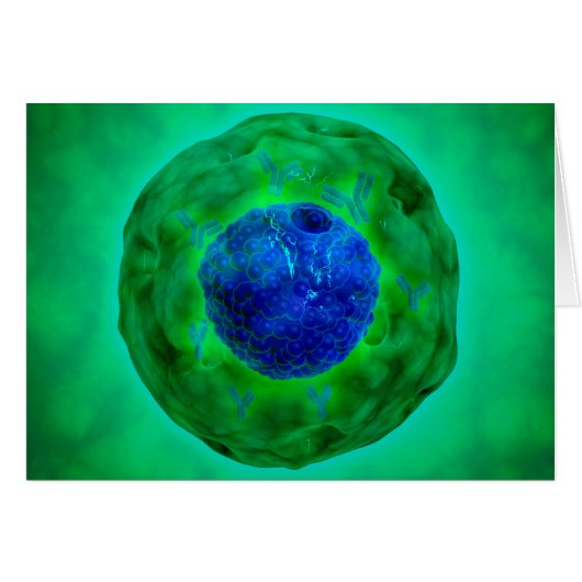 Cell Nucleus With Chromosome 1 Cards (Front Horizontal)