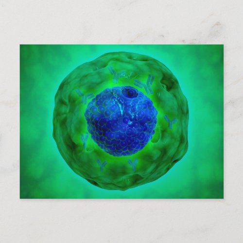 Cell Nucleus With Chromosome 1 Postcard