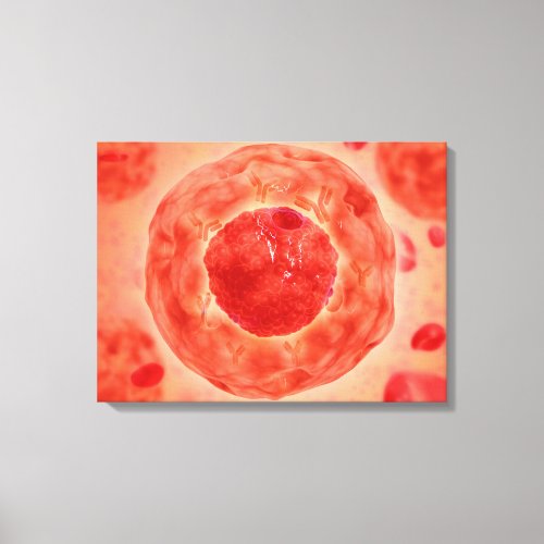 Cell Nucleus With Chromosome 2 Canvas Print