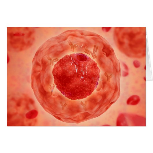 Cell Nucleus With Chromosome 2 Cards (Front Horizontal)