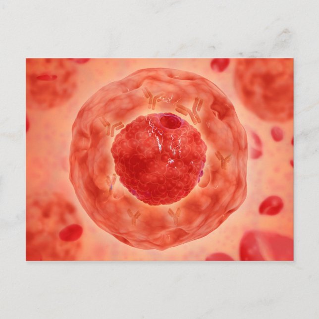 Cell Nucleus With Chromosome 2 Postcard (Front)