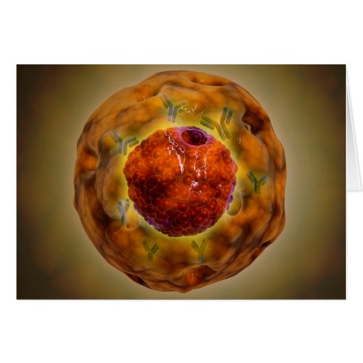 Cell Nucleus With Chromosome 3 Cards (Front Horizontal)