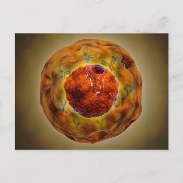 Cell Nucleus With Chromosome 3 Postcard (Front)
