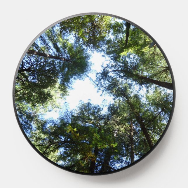 Cell Phone Pop California Redwood Trees PopSocket (Popsocket)