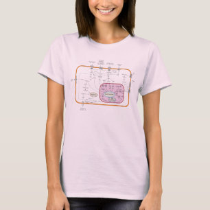 Cell Signal Transduction Pathways Diagram T-Shirt