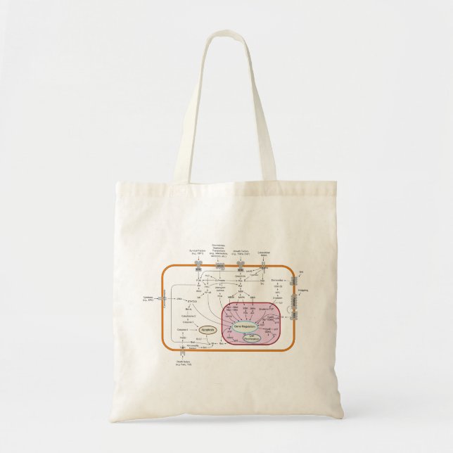 Cell Signal Transduction Pathways Diagram Tote Bag (Front)