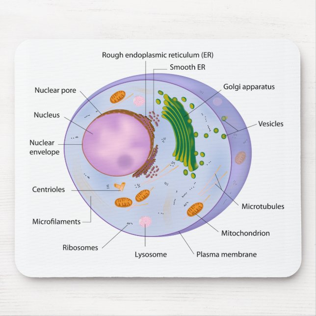 Cell structure mousepad (Front)