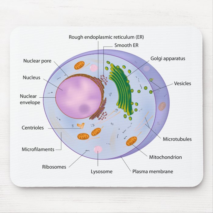 Cell structure mousepad