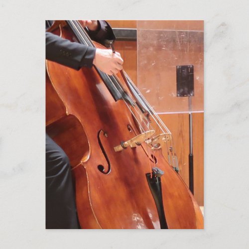 Cellist with symphony orchestra postcard
