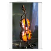 Cello 2 (Front)