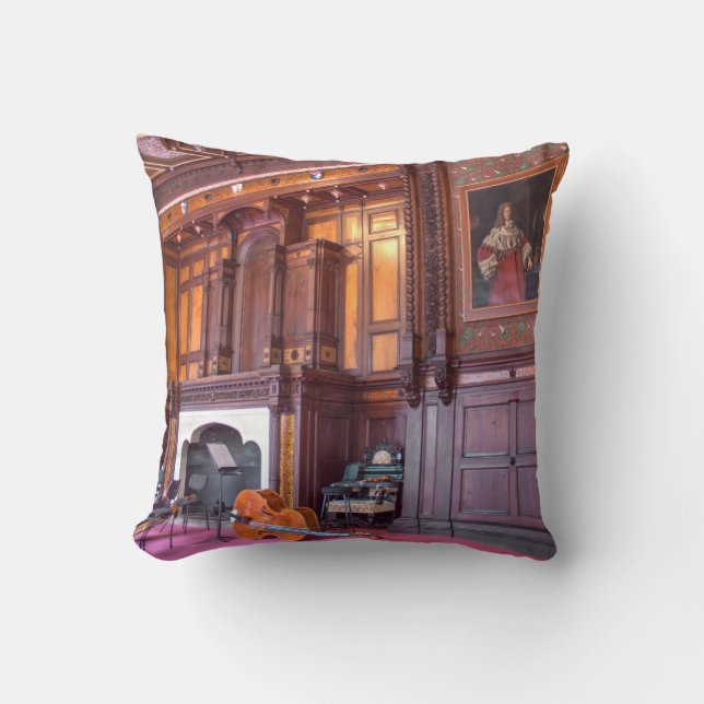 Cello In State Room Throw Pillow (Front)