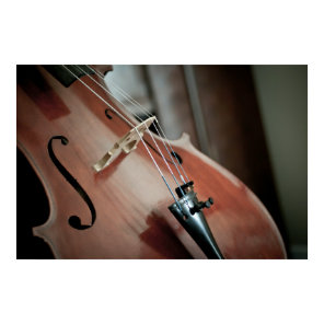 Cello Print