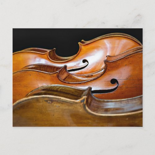 Cello Trio Music Strings Postcard
