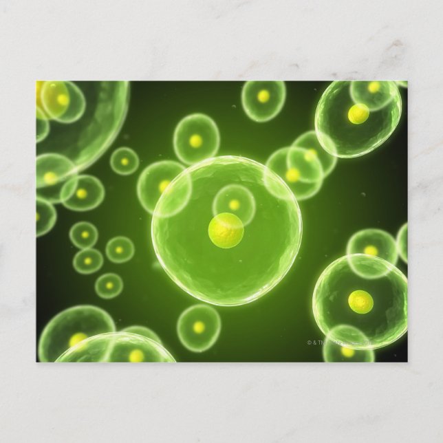 Cells 2 postcard (Front)