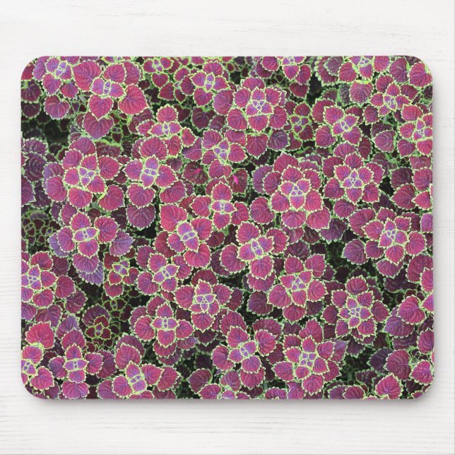 cellular mouse pad (Front)