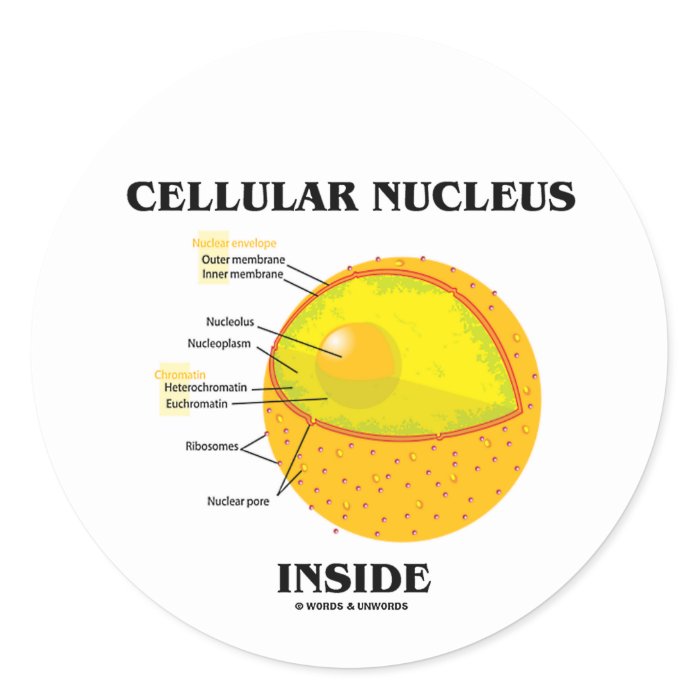 Cellular Nucleus Inside (Cell Biology) Stickers