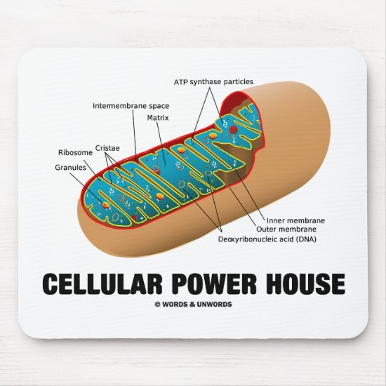Cellular Power House (Mitochondrion) Mouse Pad