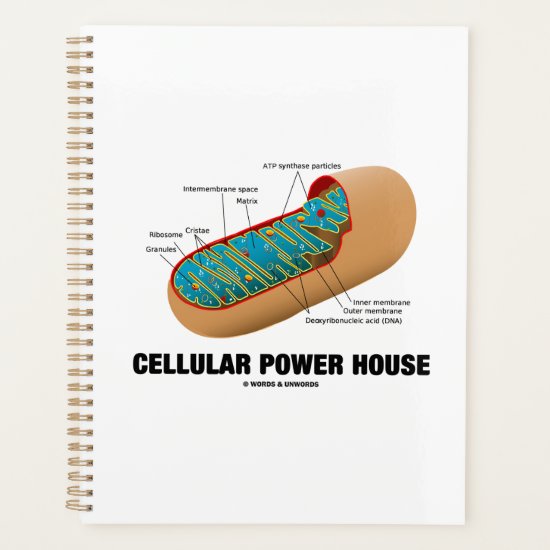 Cellular Power House Mitochondrion Planner