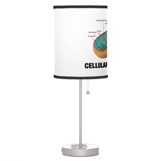 Cellular Power House Mitochondrion Table Lamp (Left)
