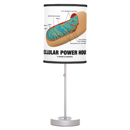 Cellular Power House Mitochondrion Table Lamp (Front)
