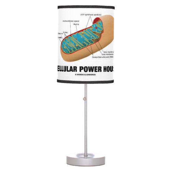 Cellular Power House Mitochondrion Table Lamp