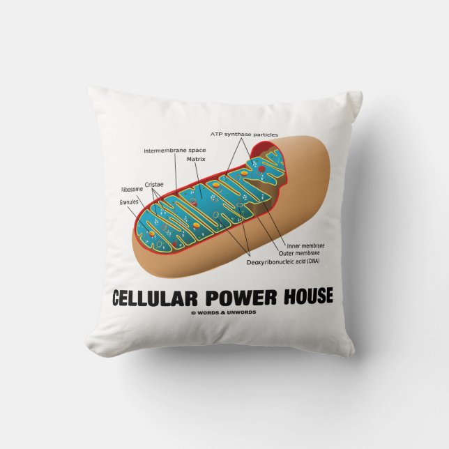 Cellular Power House Mitochondrion Throw Pillow (Front)