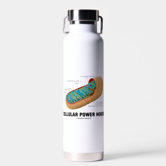 Cellular Power House Mitochondrion Water Bottle