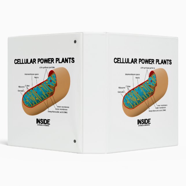 Cellular Power Plants Inside Mitochondrion 3 Ring Binder (Background)