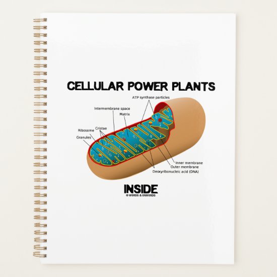 Cellular Power Plants Inside Mitochondrion Planner
